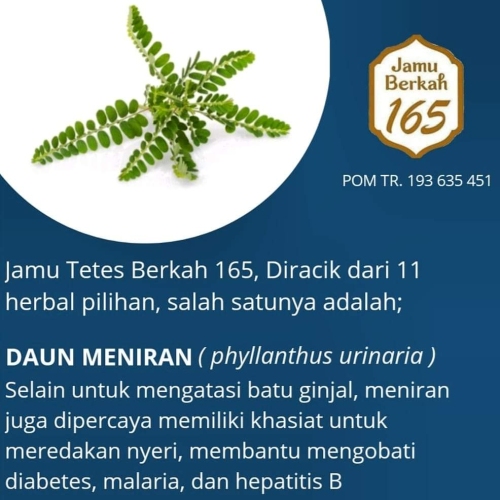 Agen Herbal Untuk Diabetes Halal Bogor Jawa Barat